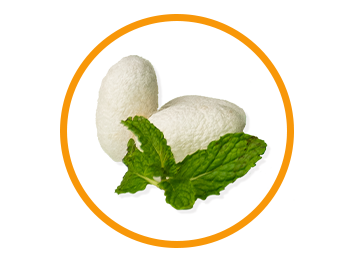 Morning Fresh Anti- Hangover Cure And Liver Protection Pop Sachet Orange Flavor, Size 3 Sachets In 1 Box | Boosts Hydration | Reduces Hangovers | Effervescent Mix With Vitamin-c, Mulberry Leaf Extract & Proteins | No Caffeine & Sugar