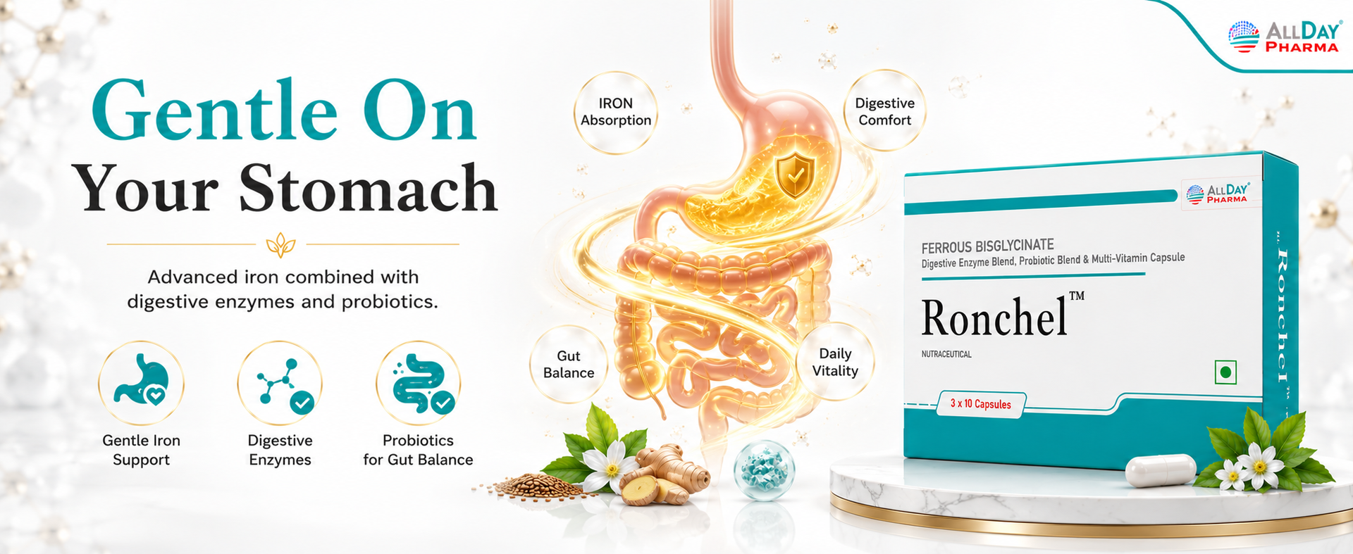 ALLDAY PHARMA Ronchel Capsules | Chelated Iron Capsule | Dietary with Mineral and Vitamins Help in Gut health and Prevention of Iron deficiency for Men & Women (30 Capsules)