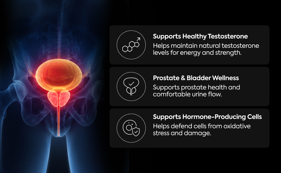 NatXtra ProPlus Men’s Wellness Supplement | Supports Prostate & Urinary Health | Pumpkin Seed Oil, Quercetin, Vitamin D3 & Selenium | Promotes Urinary Flow, Reduces Inflammation & Supports Testosterone | 60 Vegetarian Capsules