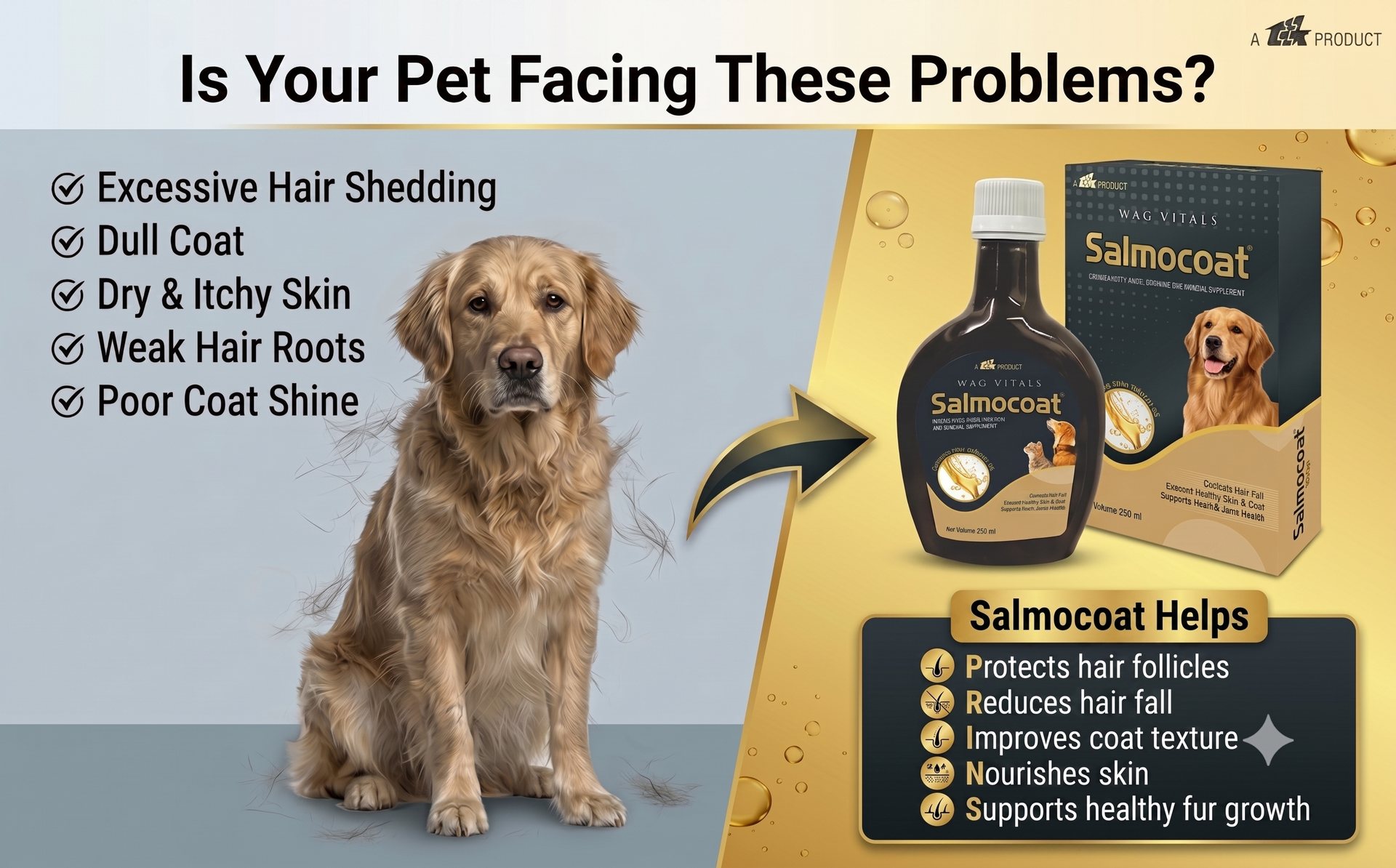 Salmon Oil Supplement for Dogs & Cats | Omega 3 & 6 with Vitamins A & E, Zinc & Biotin for Skin, Coat, Heart & Joint Support | Liquid Formula | 200 ml (Pack of 1)
