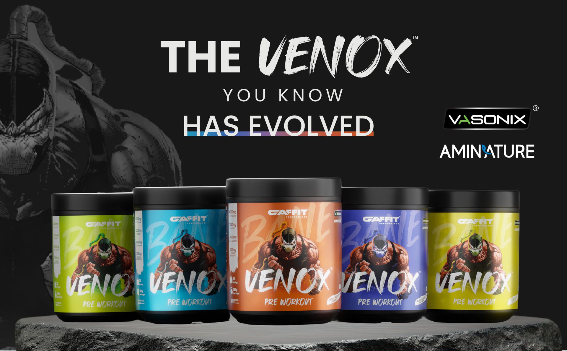 Venox Pre-Workout for Men & Women | Powered by Aminature® L-Citrulline & Vasonix® |High-Performance Powder For Intense Energy, Focus & Muscle Pump | 30 Servings, 360g | Zesty Pine Flavour
