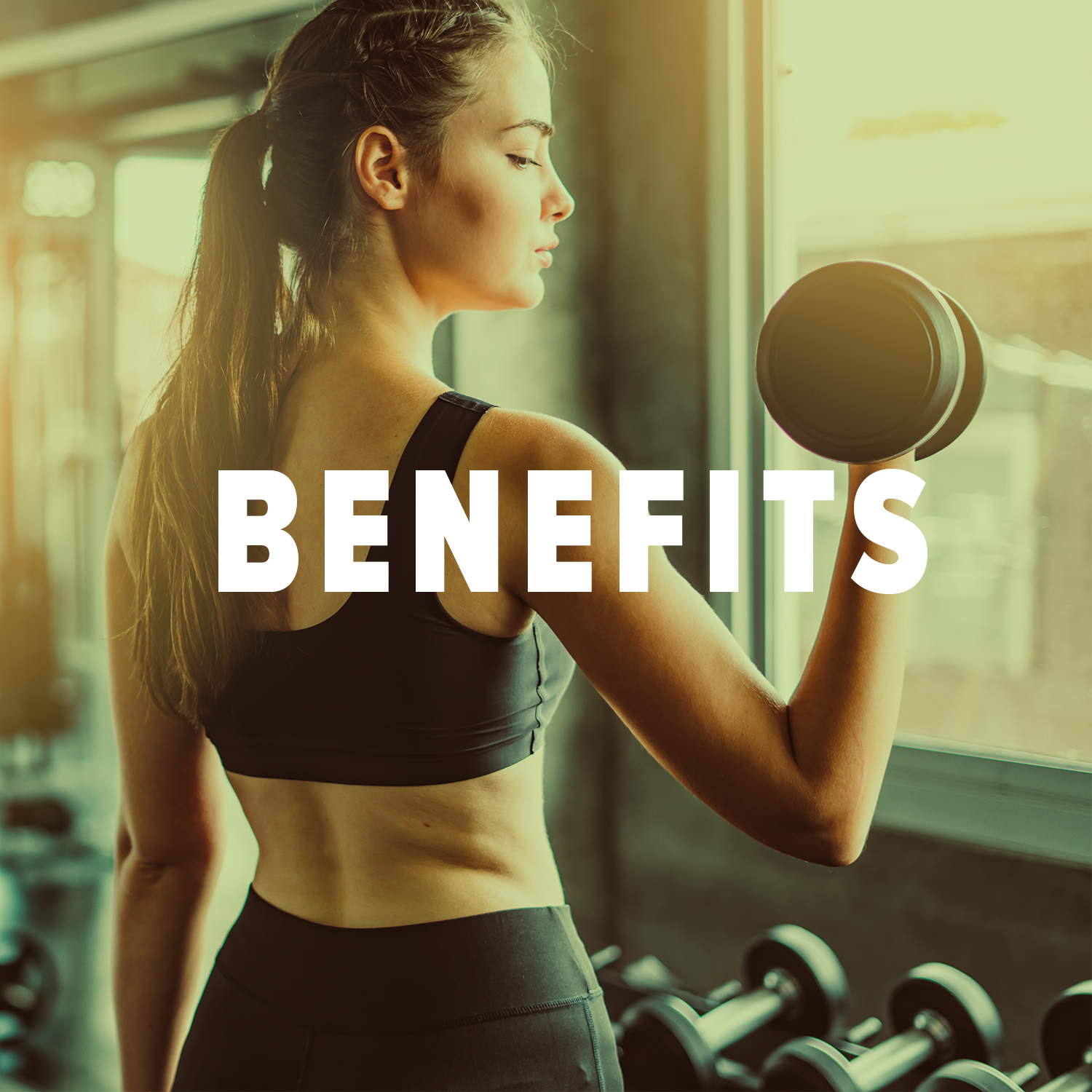 MyFitFuel Plant Brown Rice Protein, 1Kg (Unflavored)