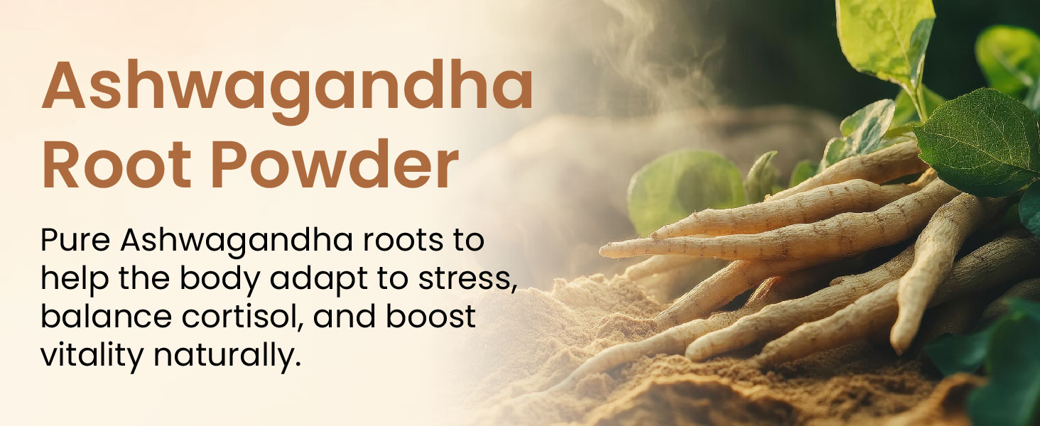 Vlado's Himalayan Organics Organic Ashwagandha Powder 100gm - Withania Somnifera | Pure Ashwagandha Powder Organic -Support Muscle Recovery & Boost Energy Level | USDA Certified Ashwagandha Supplements for Vitality, Strength & Stress Management | 100gm