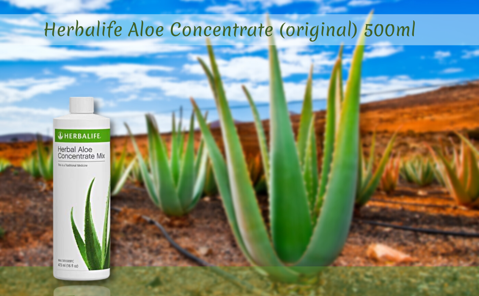 Herbalife Aloe Concentrate Tonic - 500ml