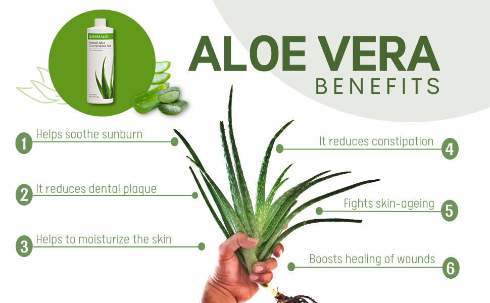 Herbalife Aloe Concentrate Tonic - 500ml