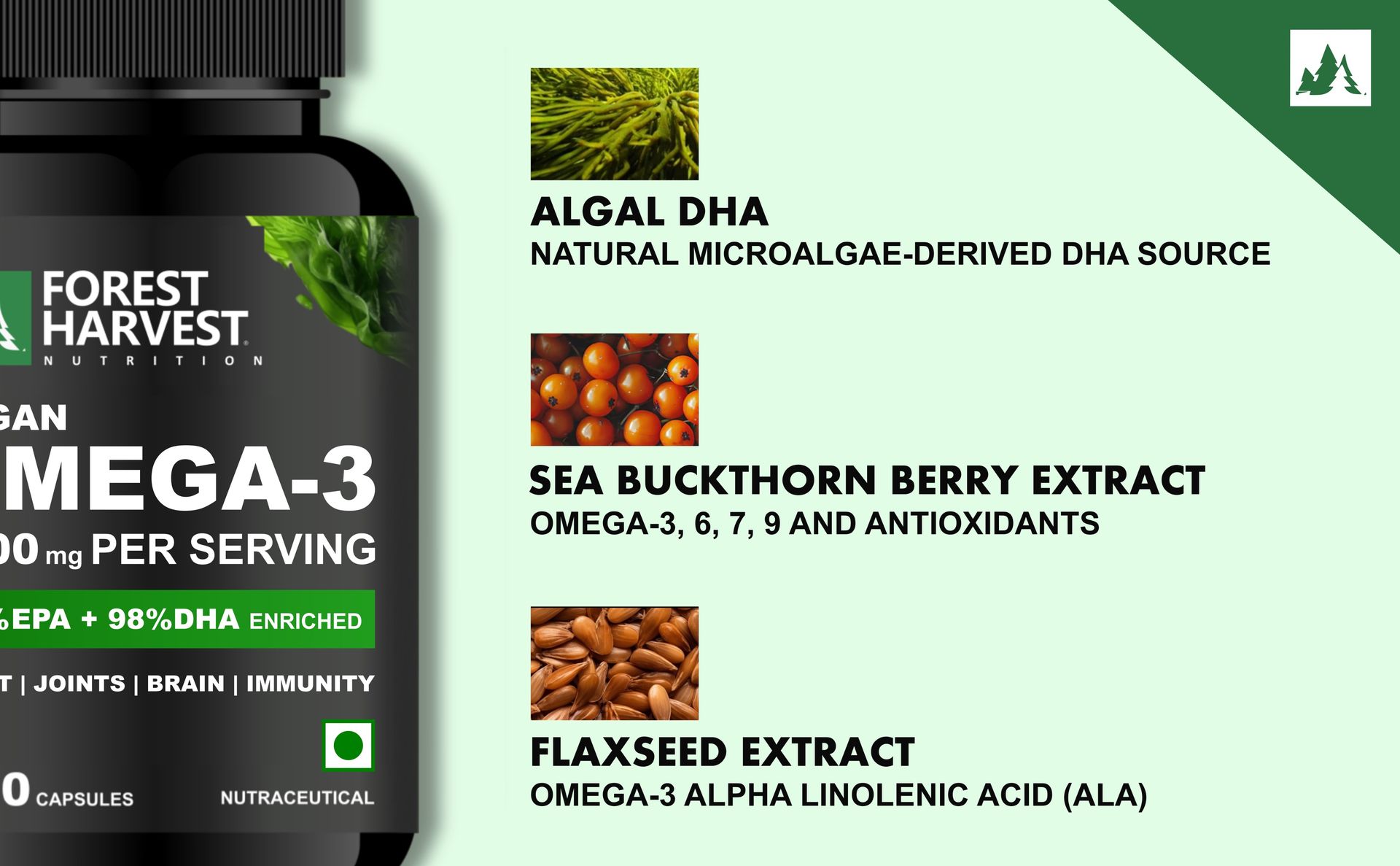 Vegan Omega-3, 6, 7, 9 Complex | 90 Capsules | Dual-Source DHA (Algal DHA 10% & Veg DHA 98%) with Veg EPA 98% | Sea Buckthorn Extract 10X & Flaxseed Extract 10X | 1000mg Per Serving