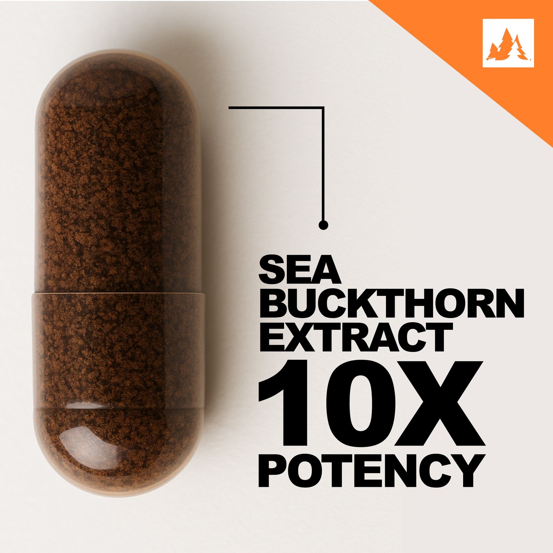 Sea Buckthorn Extract | 10X Potency | 1000 mg Per Serving | 90 Capsules | Skin, Immunity & Heart Health Support