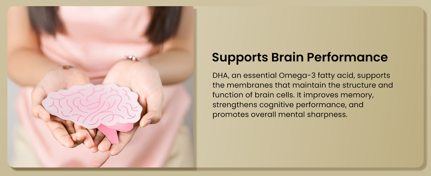Herbal Max Omega-3 Fish Oil Capsules – 180 Capsules (Pack of 3) | 1000mg Fish Oil with 180mg EPA & 120mg DHA | Heart, Brain & Joint Support | Mercury-Free & Odorless