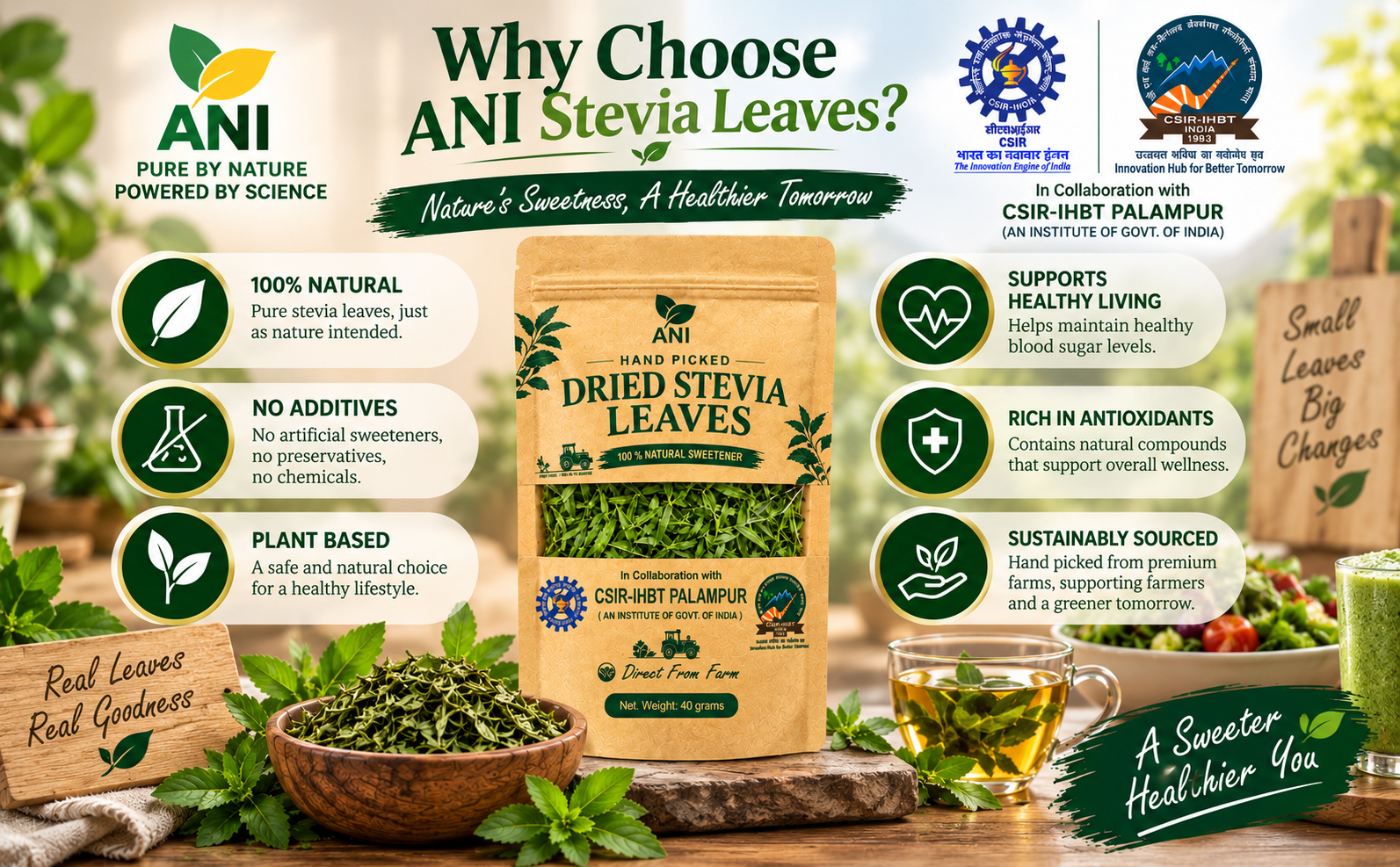 ANI Natural Dried Stevia Leaves 40g | Natural Sweetener, Calorie-Free | Regulates Blood Sugar Levels | Sugar Substitute | In Association with CSIR -IHBT, Palampur (An Institute of Govt. of India)