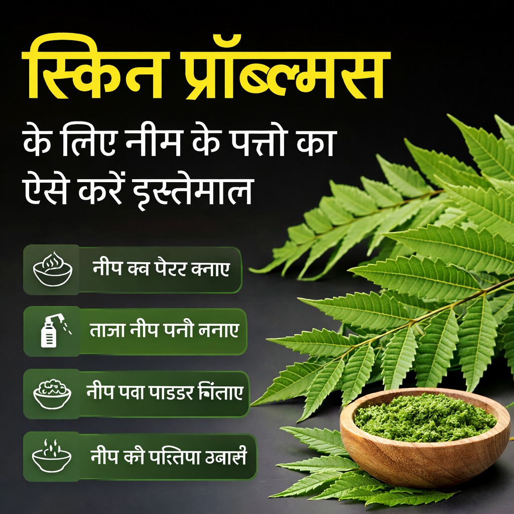 Neem Leaves (330 gram) patti shuddh 100% Organic Handpicked Ayurvedic Herbal Margosa for Health Skin And Hairs Care Boost Immunity