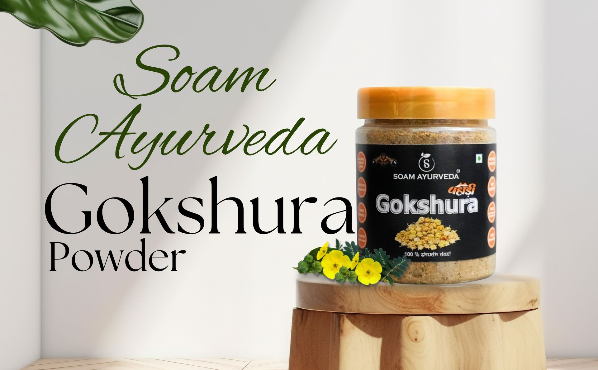 Soam Ayurveda's Pahadi Gokshura -150g | Gokhuru Powder | Improves Energy, Muscle Strength, Stamina & Supports Recovery (Pack of 1)