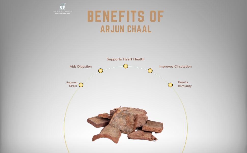 THE ANCIENT REMEDY Arjun Chaal Powder 110GM | 100% Pure Herbal Arjun Ki Chaal Powder For Men & Women Supports Heart Health, Promotes Good Cholesterol, Arjuna Pack 1