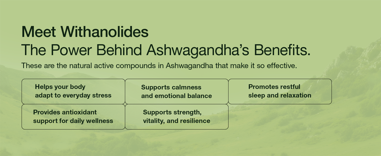 KSM-66 Ashwagandha 500 mg | 60 Veg Capsules | Root Extract