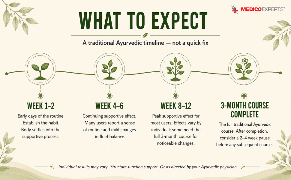 Kidney Detox Kadha - 6 Herb Ayurvedic Powder | Punarnava, Gokhru, Neem Chal | Supports Healthy Kidney Function | FSSAI Licensed | 100g