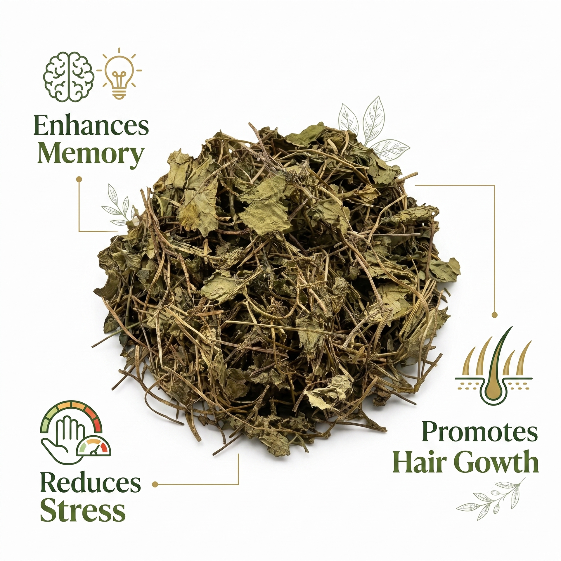 100% natural Brahmi Leaves 100g | Natural Sun-Dried Bacopa Monnieri | For Calm Herbal Tea, Ayurveda and DIY Use (Pack of 1)