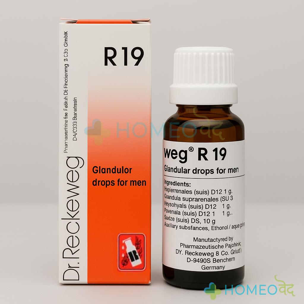 R19 Glandular Drops for Men | Homeopathic Tonic for Endocrine Health, Fatigue, Hormonal Imbalance & Male Vitality | Natural Support for Pituitary, Thyroid & Reproductive Glands | (Pack of 2)