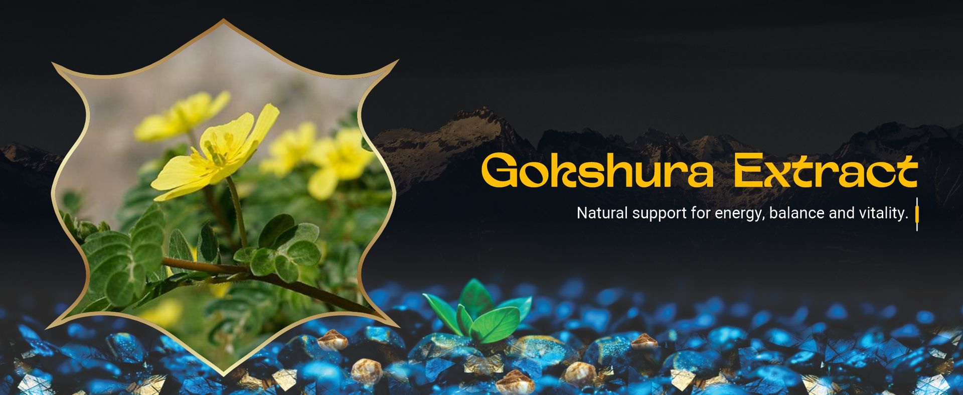 Bliss Welness Shilajit/Shilajeet Gold Resin, 30g | More Than 70%+ Fulvic Acid | 7x Formula with 24K Gold, Kaunch, Ashwagandha, Black Musli, Maca Root | Boosts Enegry, Endurance, Vitality Strength Stamina | 100% Ayurvedic | 60 Servings