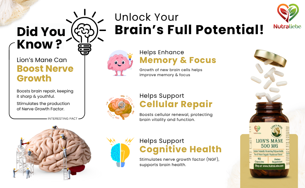 Lion’s Mane Mushroom Extract 500 mg – Hericium erinaceus Standardized to Beta (1,3)(1,6)-Glucans | Brain Health, Memory & Focus Support | Nerve Growth Factor (NGF) Booster | 90 Vegetarian Capsules | Non-GMO, Gluten-Free