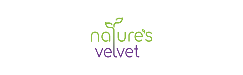 Nature's Velvet Lifecare Brahmi (Bacopa Monnieri) Pure Extract 500 mg, 60 Veg Capsules - Pack of 1