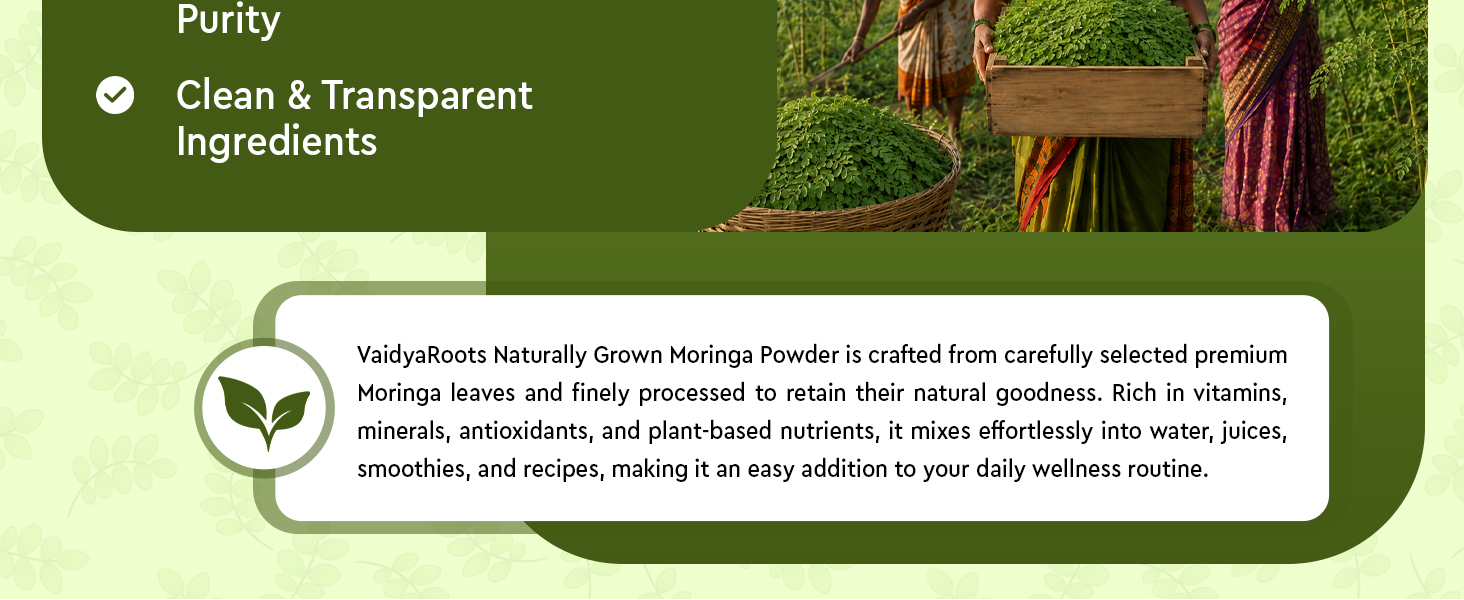 Organic Moringa Leaf Powder 1kg | Sahjan, Drumstick, Murungai Leaves | Ayurvedic Superfood for Energy, Immunity & Detox | Rich in Protein, Iron, Calcium, Vitamins | Natural & Lab Tested