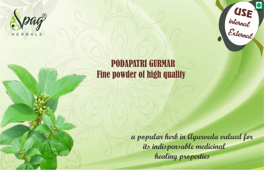 Podapatri madhunashini Sirukurinjan gurmar gymnema sylvestre gudmar gymnema sylvestre 300grms Pack of 1 For diabetes blood suger management powder
