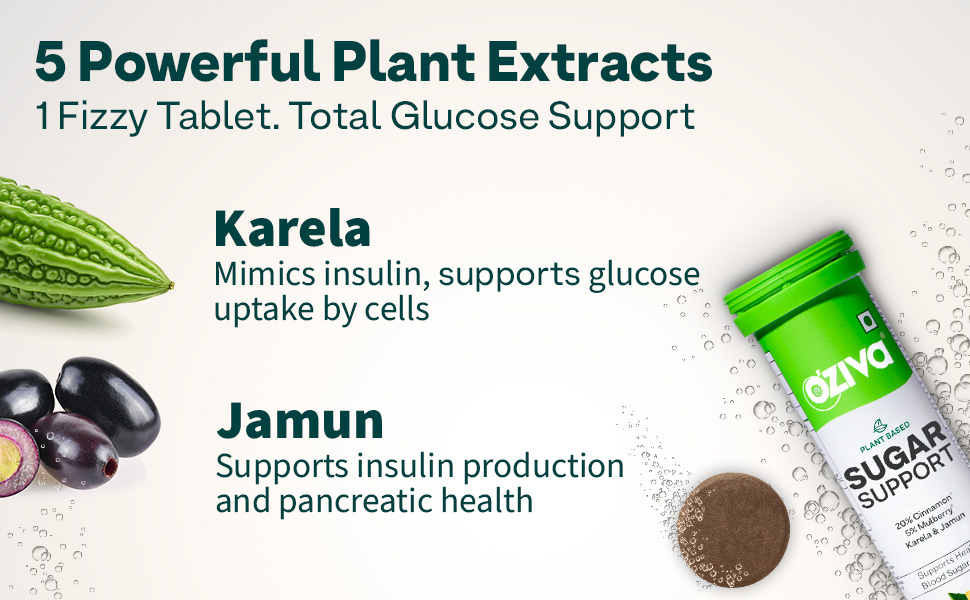 OZiva Sugar Support Effervescent, Blood Sugar Control, 15 Tabs