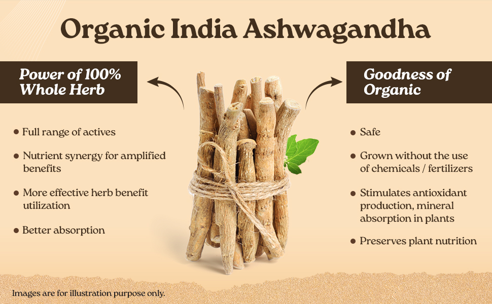 A TATA Product - Organic India Ashwagandha Capsules - 60 Veg Caps (Pack of 2), For Vitality & Relieves Stress, Naturally Boosts Energy & Stamina, Improves Immune System