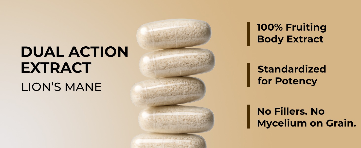 Rooted Lion’s Mane Mushroom Extract Capsules – 38% Beta Glucan, Fruiting Body, 3rd Party Tested, Brain Support for Focus, Memory & Mental Clarity – 120 Veg Caps