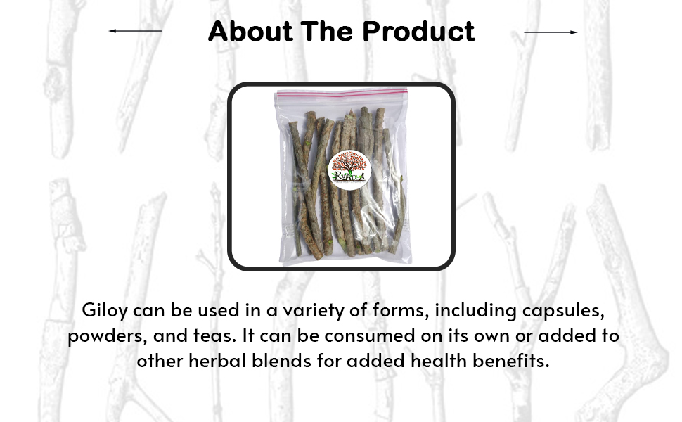 Fresh Neem Giloy Sticks (100-Inch Long) – Premium Fresh Guduchi Stems for Immunity Booster & Ayurvedic Wellness – Handpicked Natural Tinospora Cordifolia