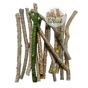 Fresh Neem Giloy Sticks (100-Inch Long) – Premium Fresh Guduchi Stems for Immunity Booster & Ayurvedic Wellness – Handpicked Natural Tinospora Cordifolia