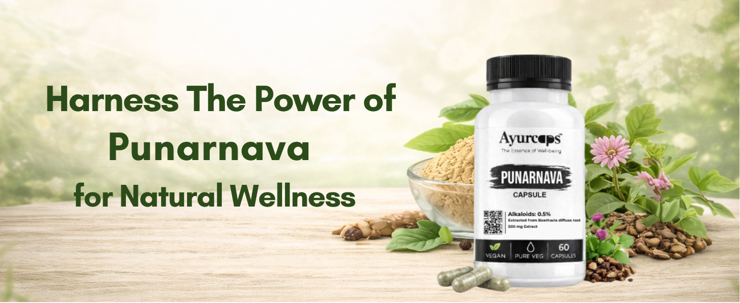 Punarnava 500mg (60 Veg Capsules) | Ayurvedic Kidney And Liver Support Supplement | Helps Maintain Healthy Fluid Balance | Plant-based | No Added Preservatives (Pack of 1)