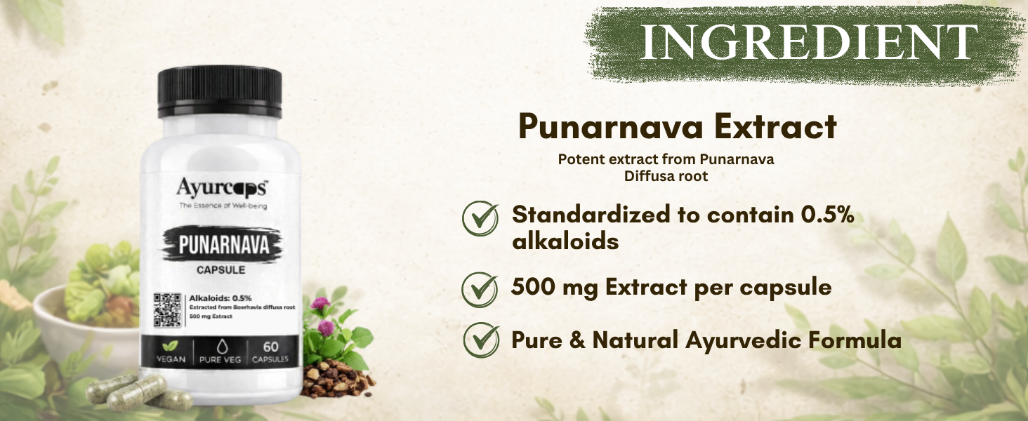Punarnava 500mg (60 Veg Capsules) | Ayurvedic Kidney And Liver Support Supplement | Helps Maintain Healthy Fluid Balance | Plant-based | No Added Preservatives (Pack of 1)