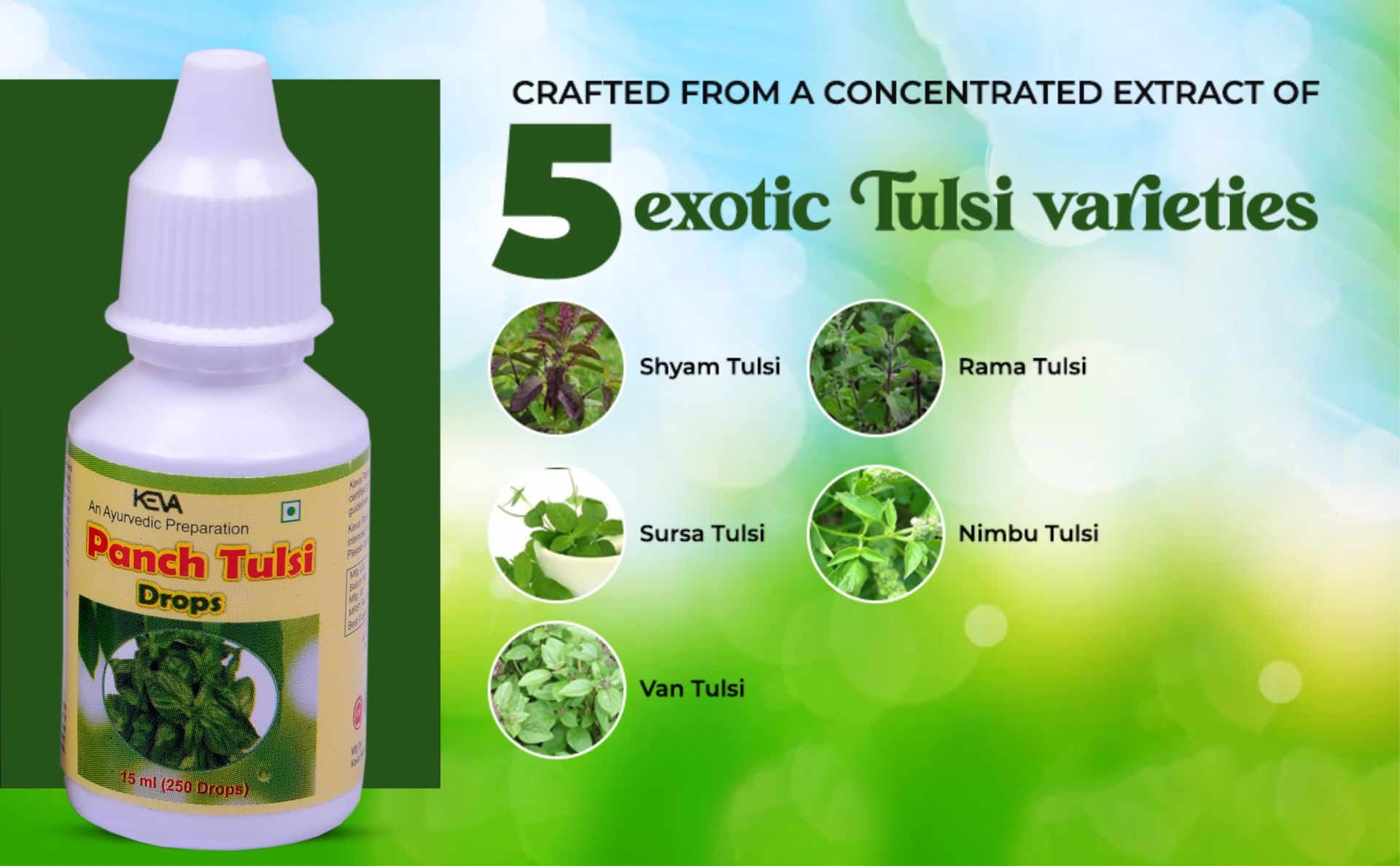 Keva Panch Tulsi Drops (Pack of 5-15 ml each)