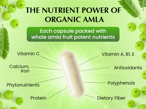 Organic Veda Amla Capsules - 1500mg, 300 Capsules - Natural Vitamin C Supplement with Antioxidants, Polyphenol for Immunity, Skin Glow & Hair Growth - Single Origin Premium Organic Amla Fruit Powder