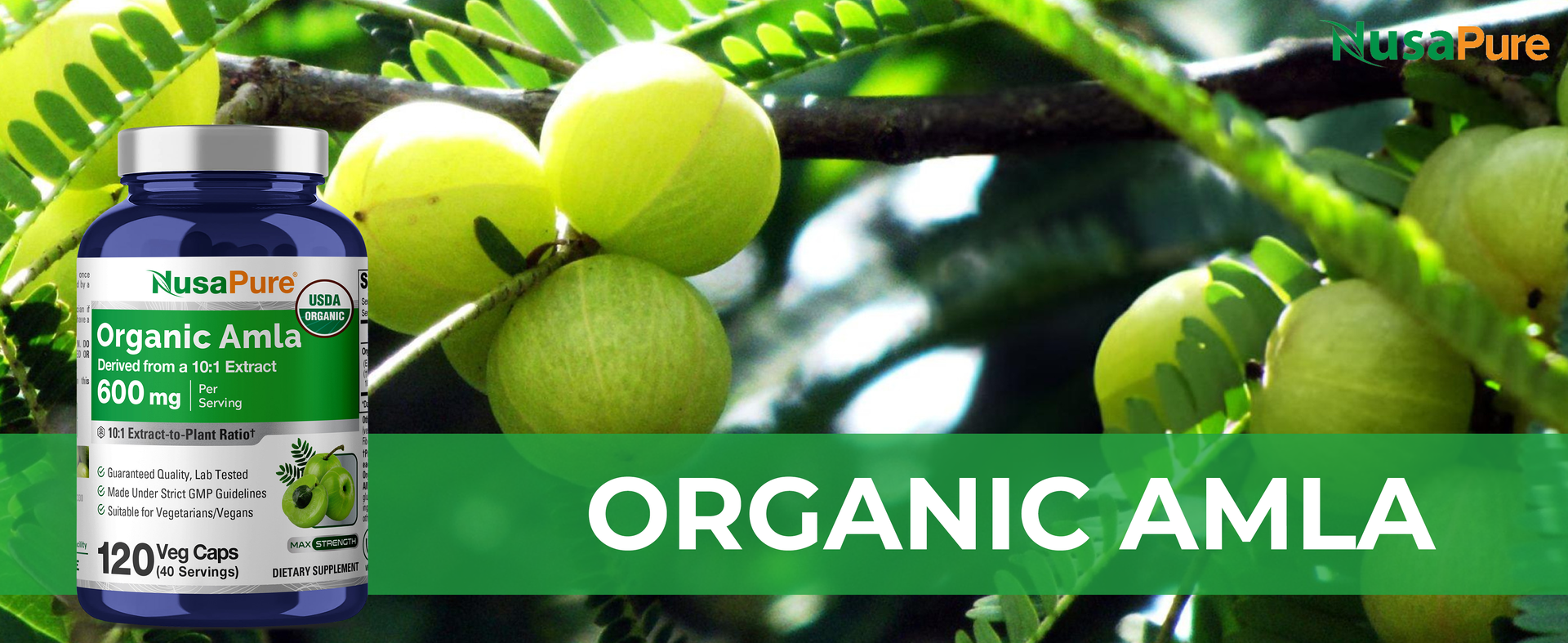 NusaPure Organic Amla Capsules 600 mg , 120 Veg Capsules (USDA, Vegan, Non-GMO)