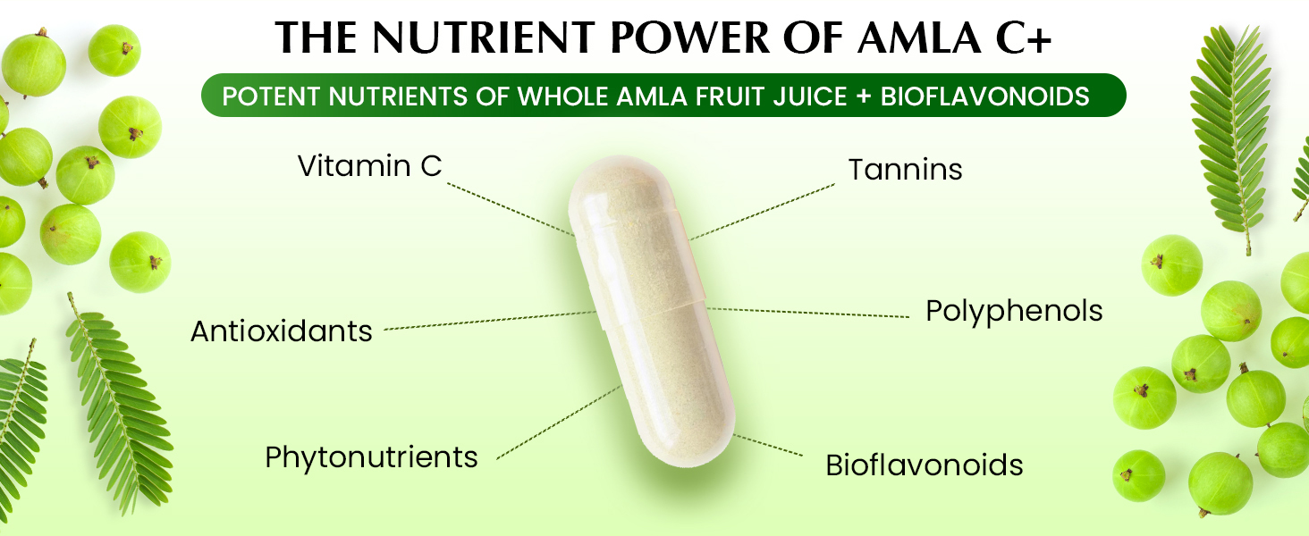 Organic Veda Amla + Capsules, 20 X Concentrated Amla Fruit Juice Extract Natural Vitamin C Supplement - Antioxidants, Immunity, Skin & Hair Growth Support - Whole Green Vitamin C 120 Vegan Capsule