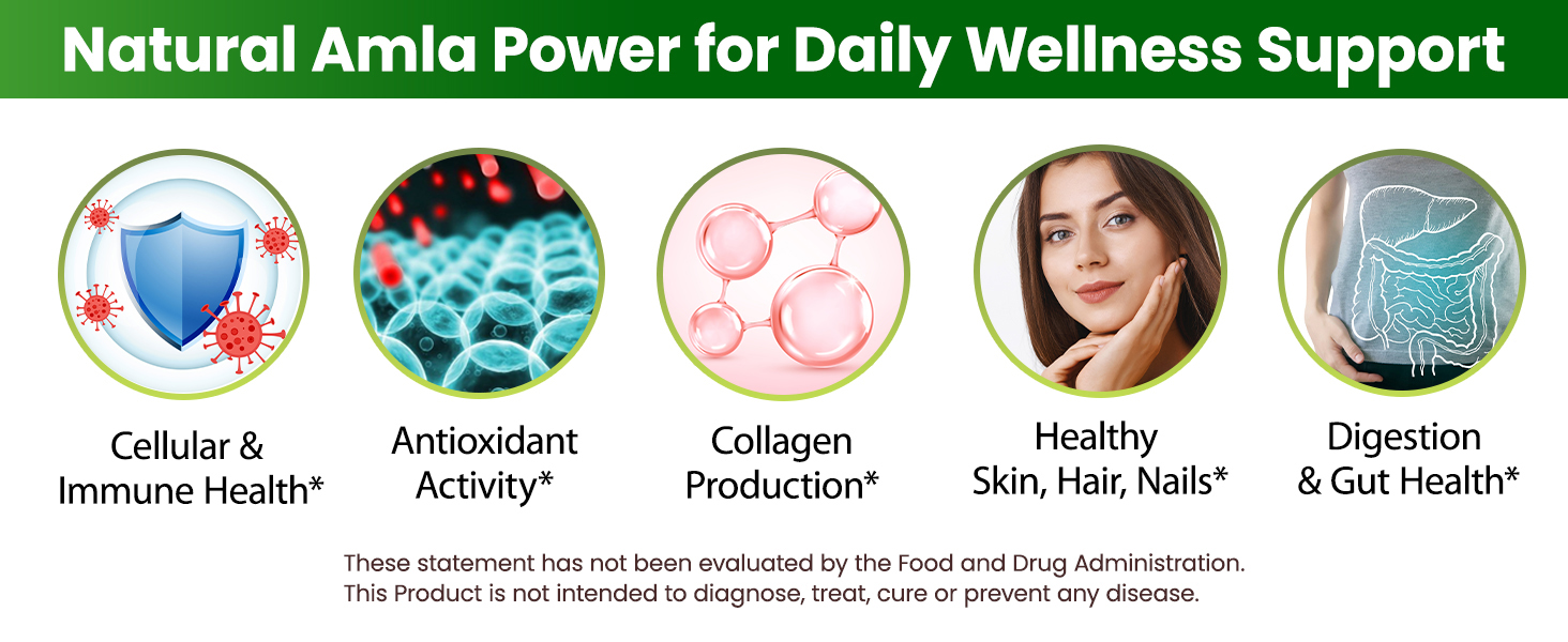 Organic Veda Amla + Capsules, 20 X Concentrated Amla Fruit Juice Extract Natural Vitamin C Supplement - Antioxidants, Immunity, Skin & Hair Growth Support - Whole Green Vitamin C 120 Vegan Capsule
