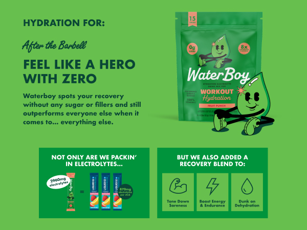 Waterboy Workout Hydration, Variety Pack, Sugar Free Electrolytes 30ct