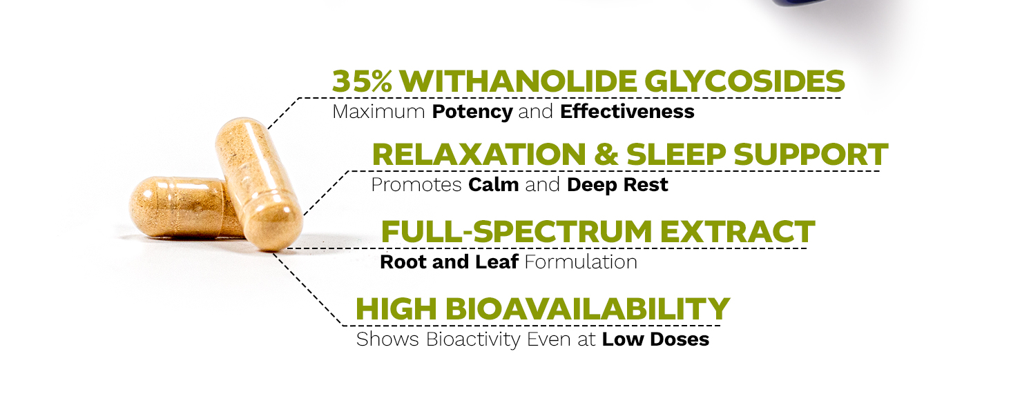 Nootropics Depot Shoden Ashwagandha Extract Capsules | 120mg | 30 Count | 35% Withanolides