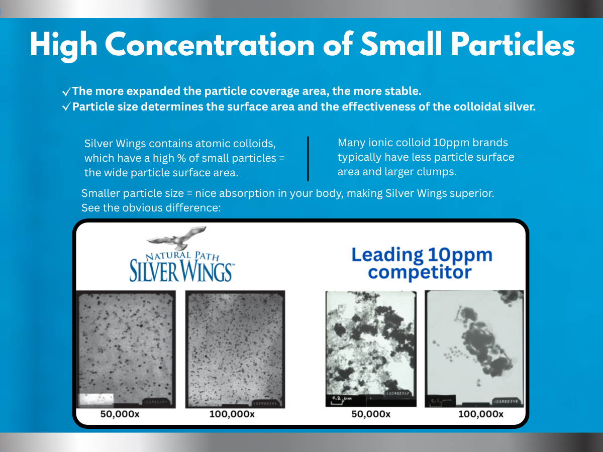 Natural Path Silver Wings Colloidal Silver 500ppm (2,500mcg) Immune Support Supplement 32 fl. oz.