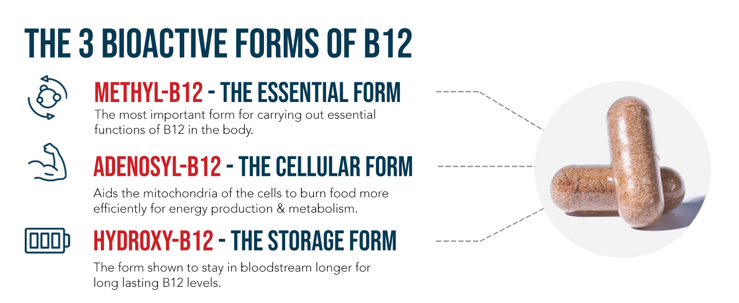 BioActive Vitamin B12, Plus Methylfolate Cofactor + All 3 Coenzyme Forms