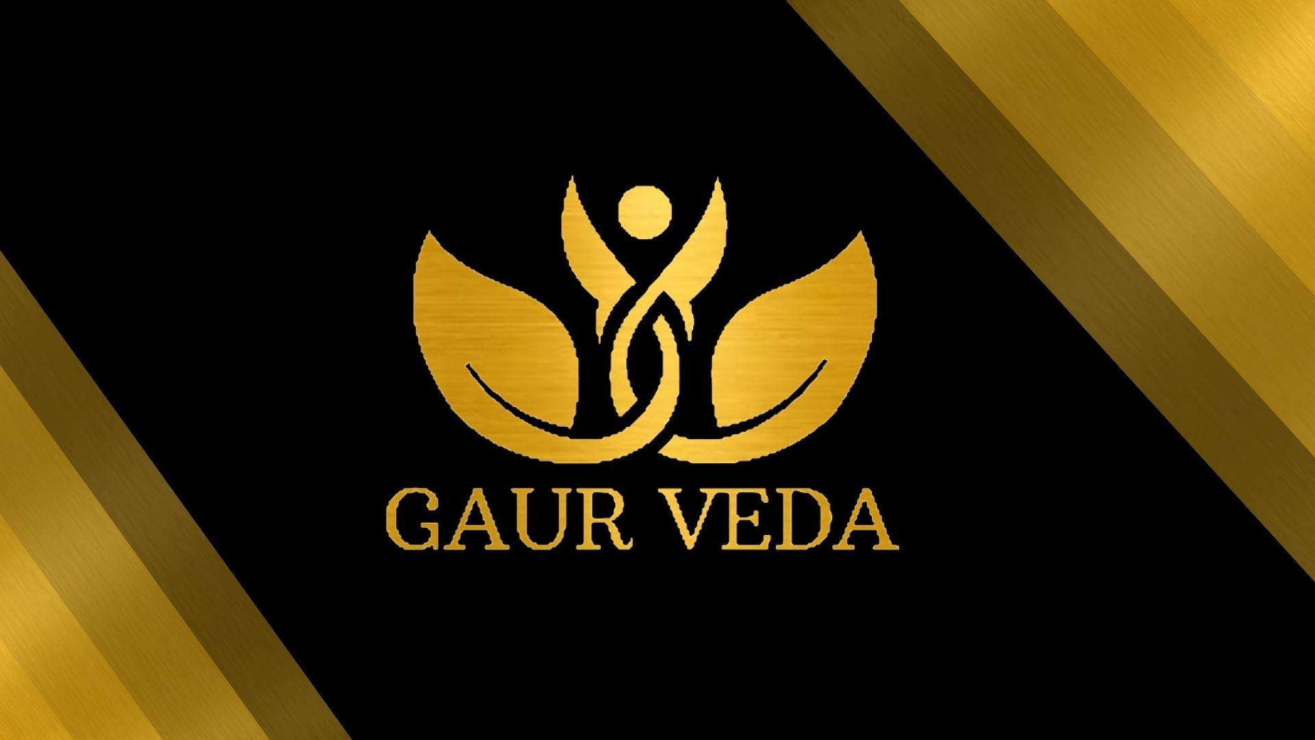 GAURVEDA Punarnava Powder 100% Natural Pure | Traditional Ayurvedic HerbSeedPowder | Supports Wellness Daily Health | Ideal for Herbal Remedies, 500 Grams