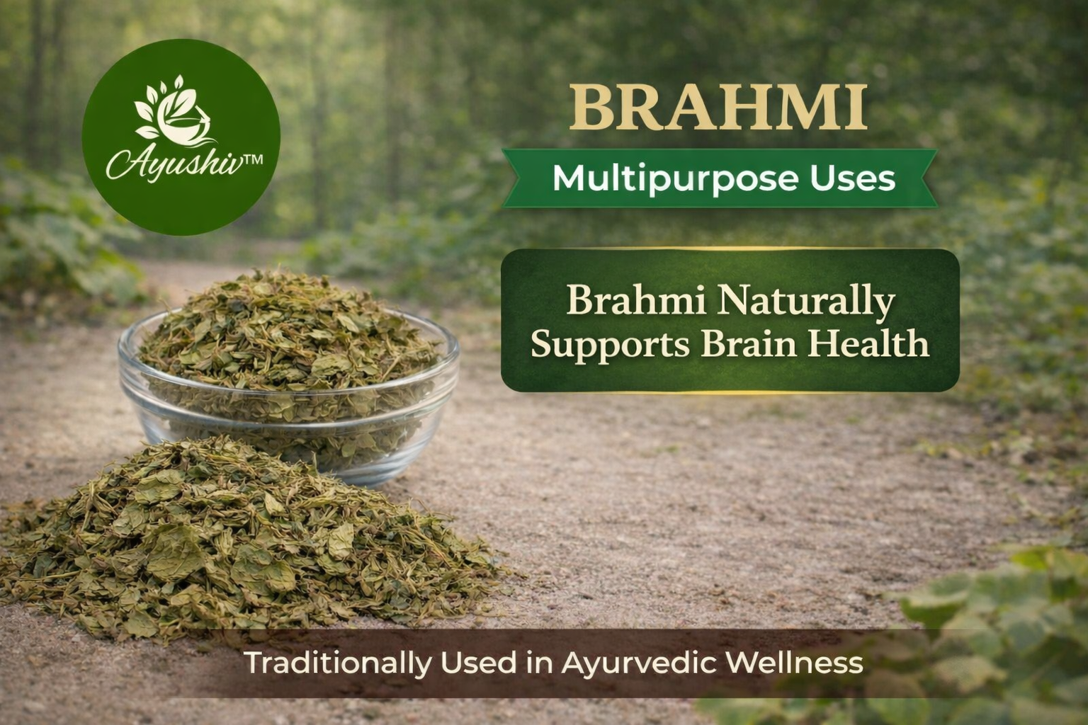 Ayushiv Brahmi Booti (Bacopa monnieri) - Indian Pennywort - Saraswati Leaves (50 GM)