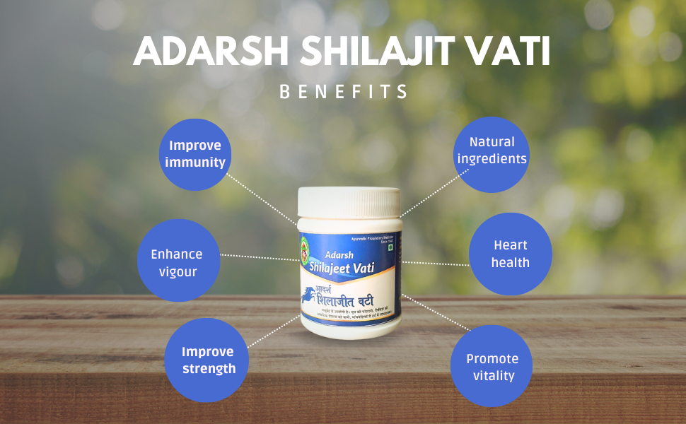 Adarsh Ayurvedic Pharmacy Shilajit Vati | Ayurvedic Supplement 120 Tablets