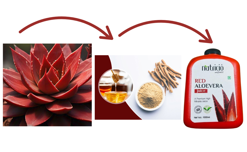 Elegant Nutricio Premium Red Aloe Vera with Honey & Ashwagandha | Nutrient-Rich