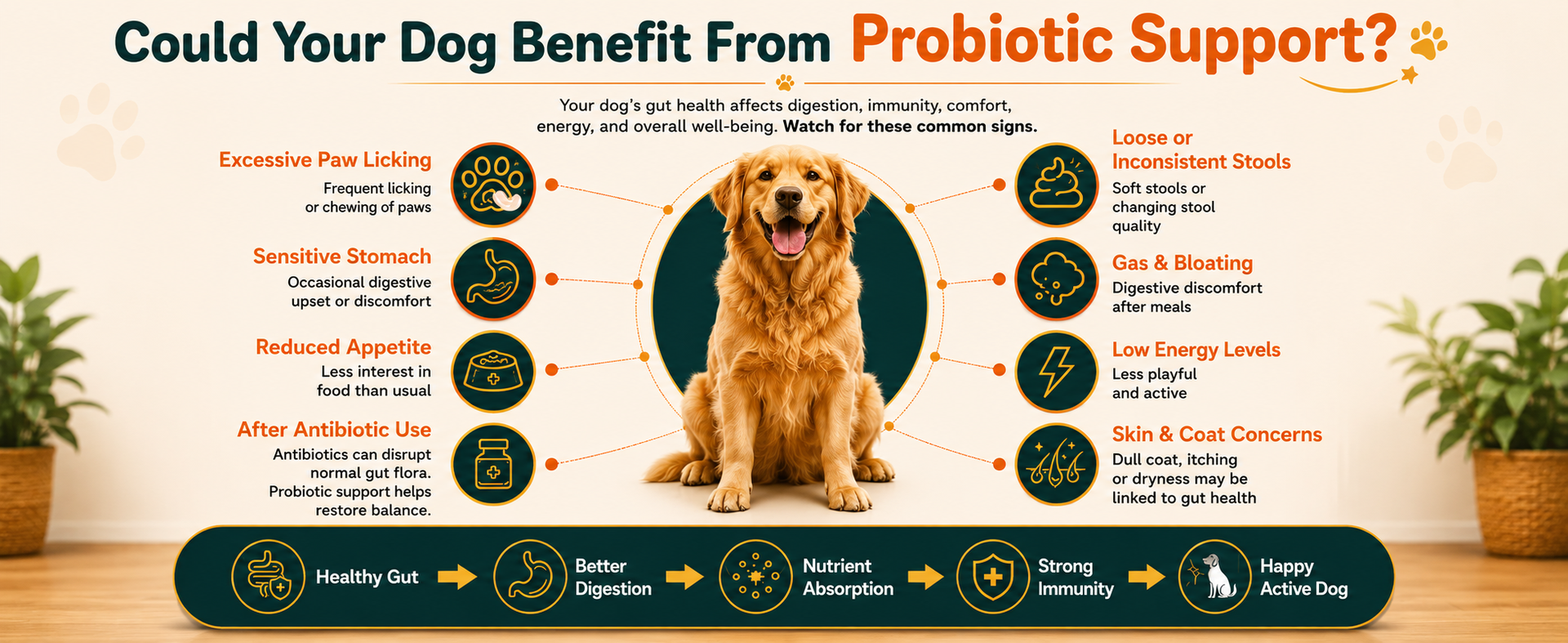Probiotic Chews for Dogs | 120 Chews 240g | Reduces Paw Licking, Firms Loose Stools & Supports Gut Health