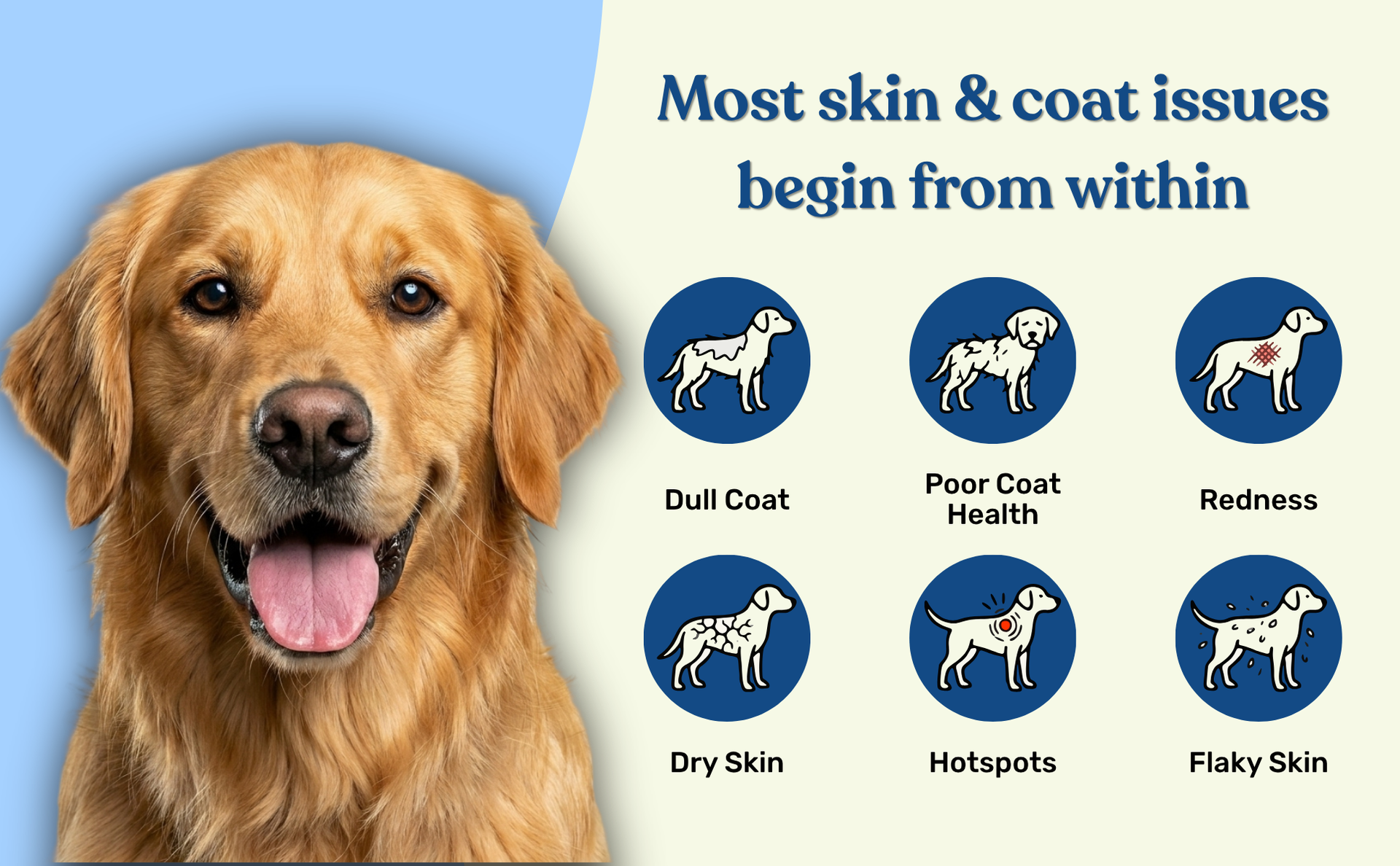 Absolut Pet Probiotic + Skin & Coat Dog Chews, Gut Health & Shine | Combo
