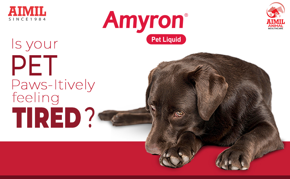 AIMIL Amyron Pet Liquid | Natural Health Restorative For Maintaining Healthy Growth & Development In Dogs & Cats | 200ml