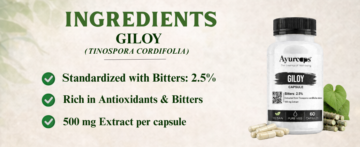 Giloy 500mg 60 Veg Capsules | Guduchi Ayurvedic Herbal Supplement | Supports Immunity, Detox & Daily Wellness | Natural Antioxidant & Metabolic Support | Vegan, No Preservatives