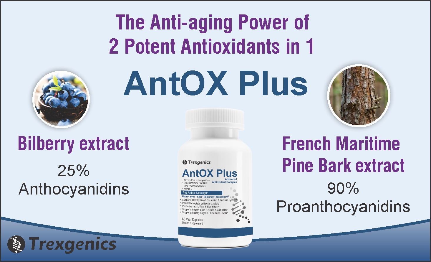 Trexgenics ANTOX PLUS Bilberry 25% 200 mg, Pine bark 90% 200 mg & Vitamin C Advanced Antioxidant complex, Heart, Eyes, Skin, Immunity, Metabolism (60 Vcaps) (1)